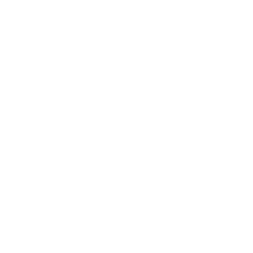 Get Pesel logo